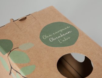 Packaging olive tree The concept, design and production of the packaging takes place in-house. From graphics to printing to die-cutting, everything is done in-house.